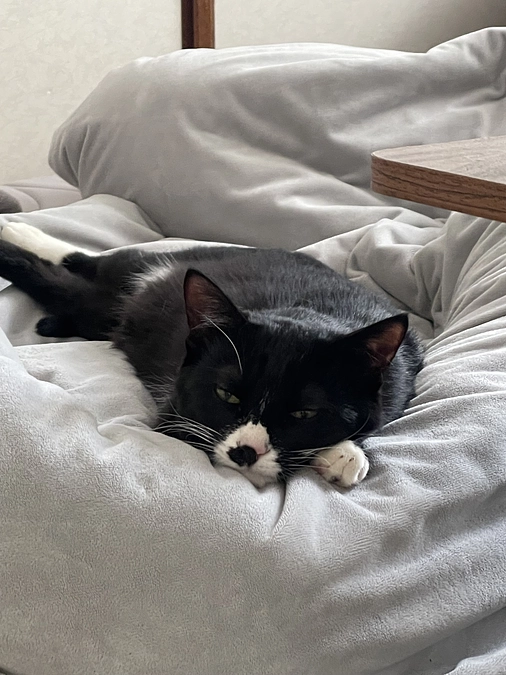 飲み薬開始その8！