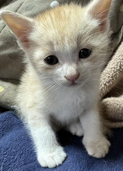 長い間ありがとうございました☺️ 今後ともよろしくお願いします🙇‍♀️