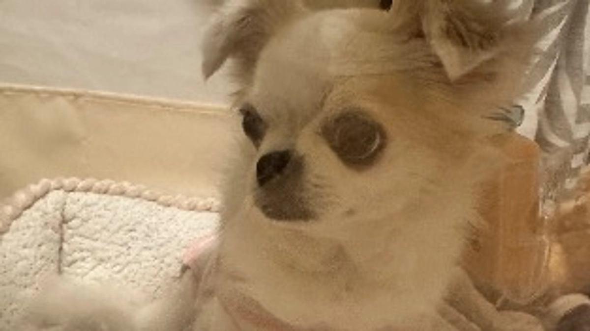 残り9日　達成率63%