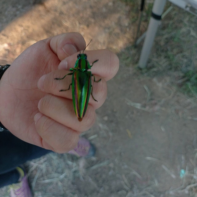 ありがたい毎日🙏