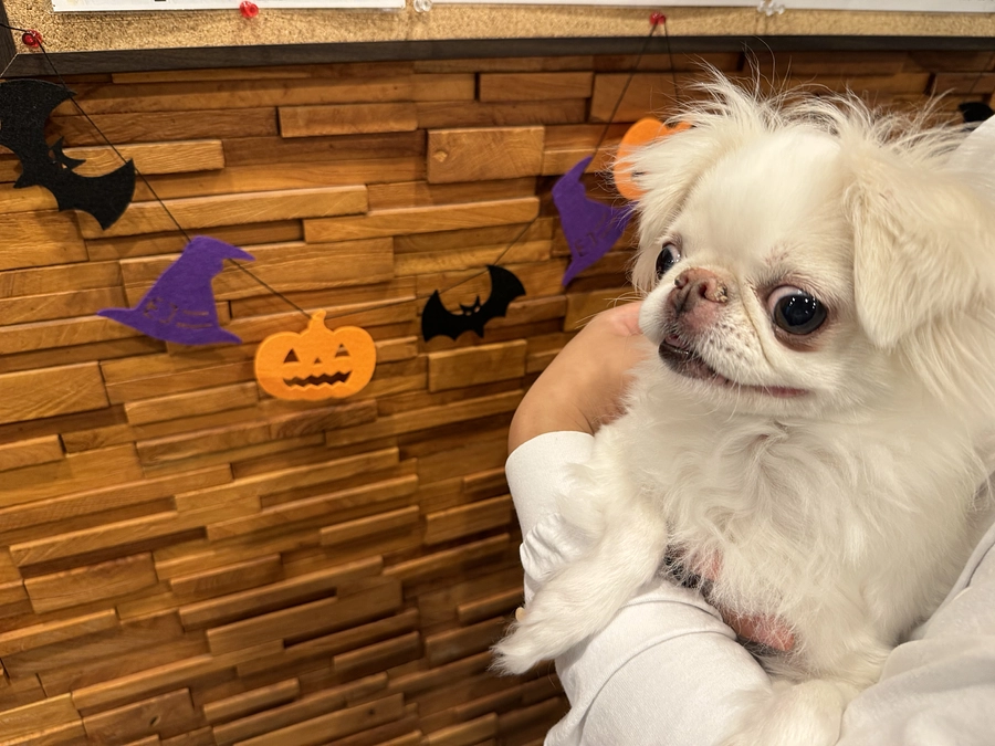 いつも皆様あたたかいご支援ご協力ありがとうございます😊💓