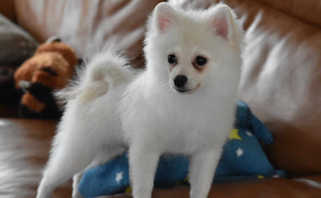 感謝のメール&活動報告 ¥1,000