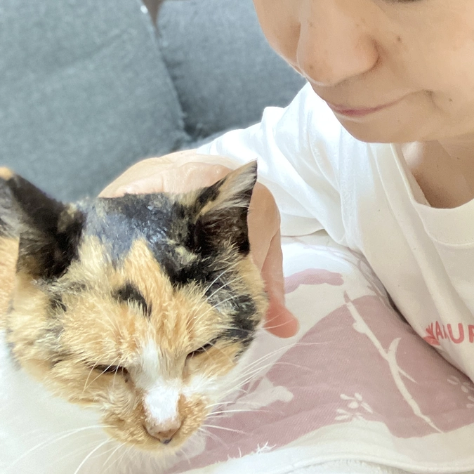 スタートから4日、ご支援心よりお礼申し上げます