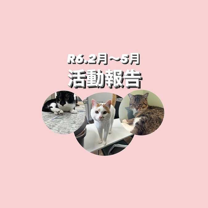 R ６.２月～５月活動報告