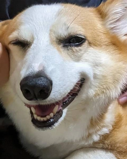 代理支援いただきました！