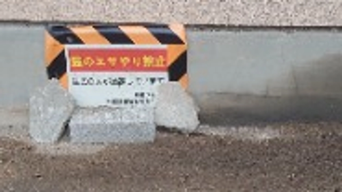 街ねこ事業を推進してる大阪市って？