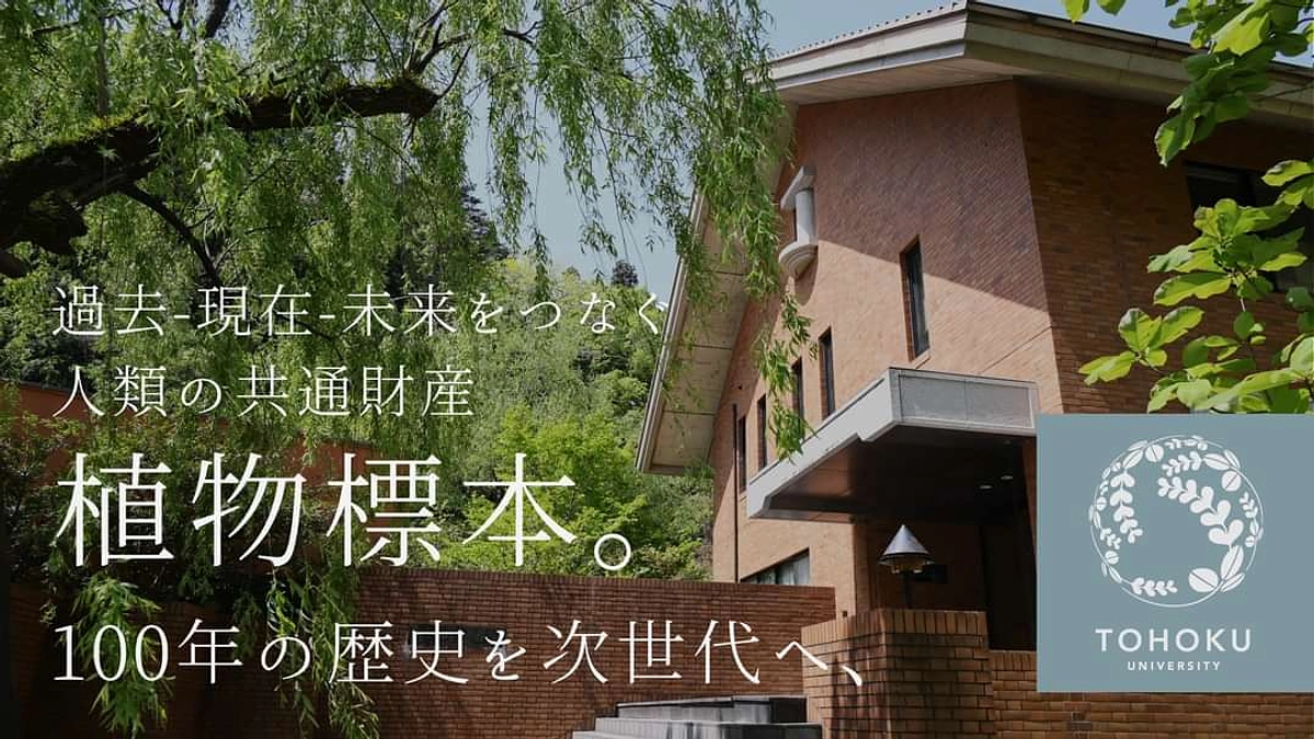 東北大学植物標本庫クラウドファンディングの紹介