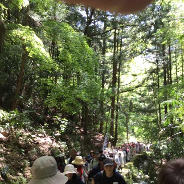 8ba2db0137a7ece5f2c937498622c6b2afa410f2