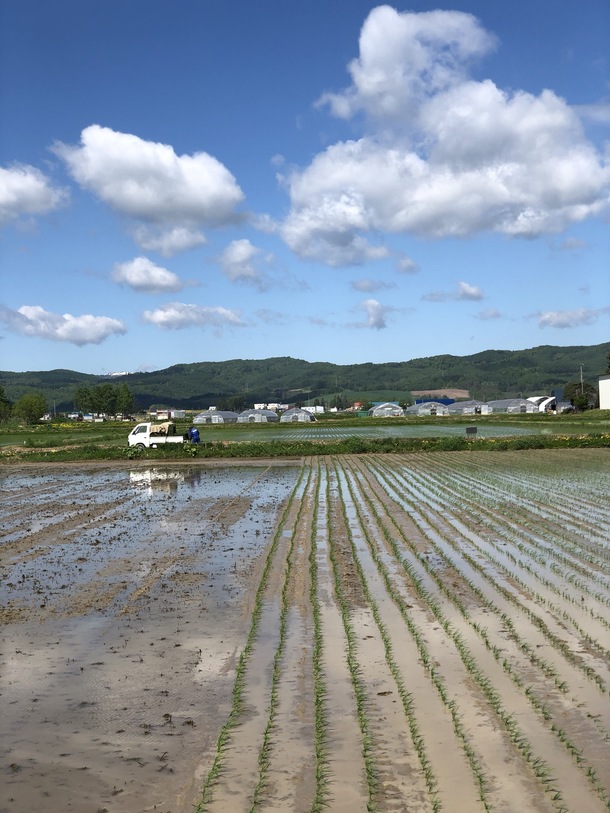 9aa8385cd853fbddbc329b7f599a9950ba12f038