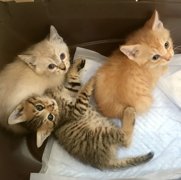 139451e4f0c1fa788b2c69a48bf844d71498f61d