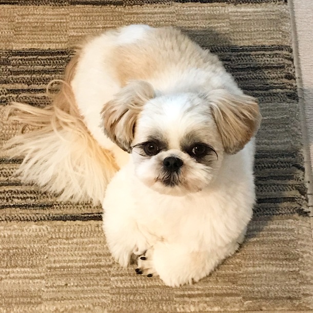 13beaebac15e54441675a17d4be5fd407c69870f