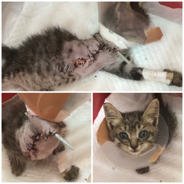 E99fdd7974b5cb03d8dfa4ef100f3357469bb62b