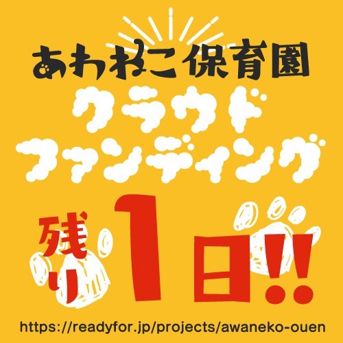 Cdc96391ca67f082146ff05c94de0b03ef510ddc