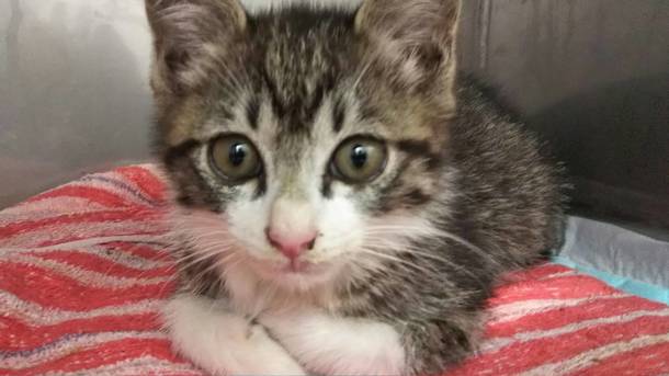 F617257768b25d8d9234d064f753f434b22f5099