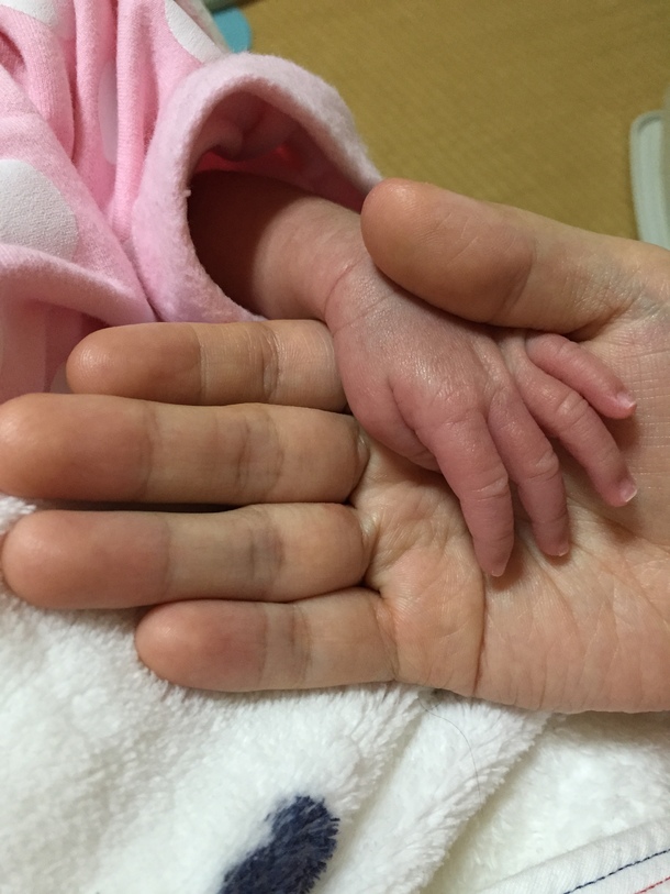 B6dde91cbecec657063d70398ffe557b144b1b38