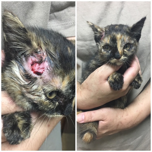 E21ae1c7b45de9aa205e8c206155058ade15b677