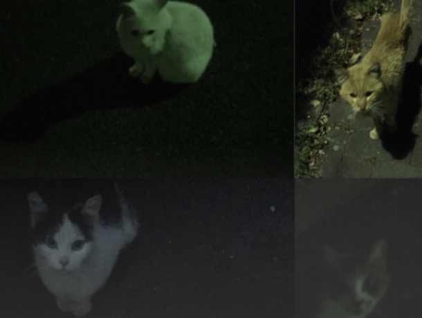 5633272a1f2e5972f6e432ddcd55f11b18933262