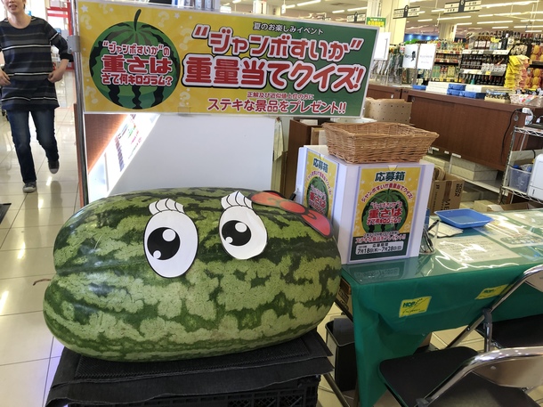 5d946fa26a8f41b7329ceea32cef0464908fb808