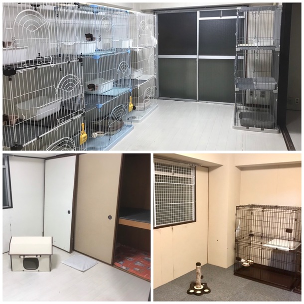 35abff674874da1a489887512d5d283626cbc0e2