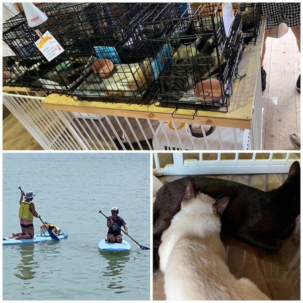 759ea711ec8ff14fd25e567d680e2870f515c4b1