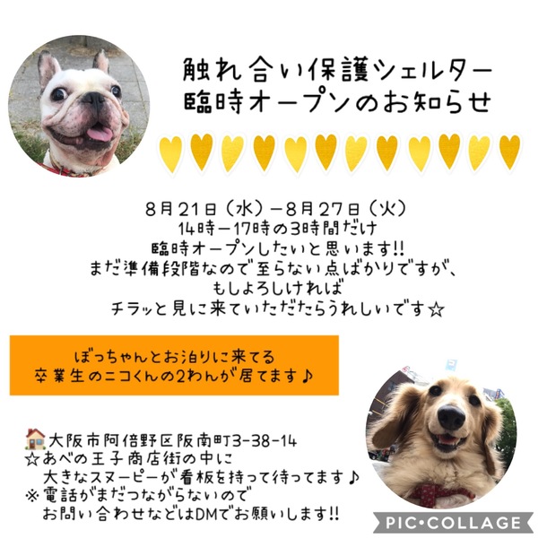 3de95e4451ba43121ed5261baecc1c218adeee17