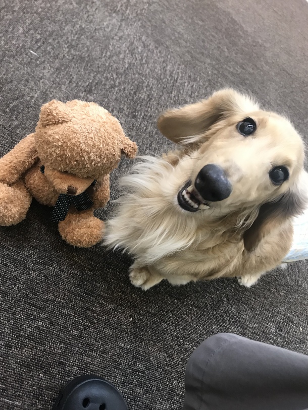 7d8233b508a80842355b02d768613398cc6a574b