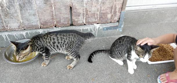 Cf6af926b2b61b3c81041aec17f08bf5a344d20d