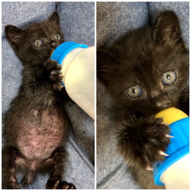 A3b1eae3a391b60bc762c55d151c486dd248f114