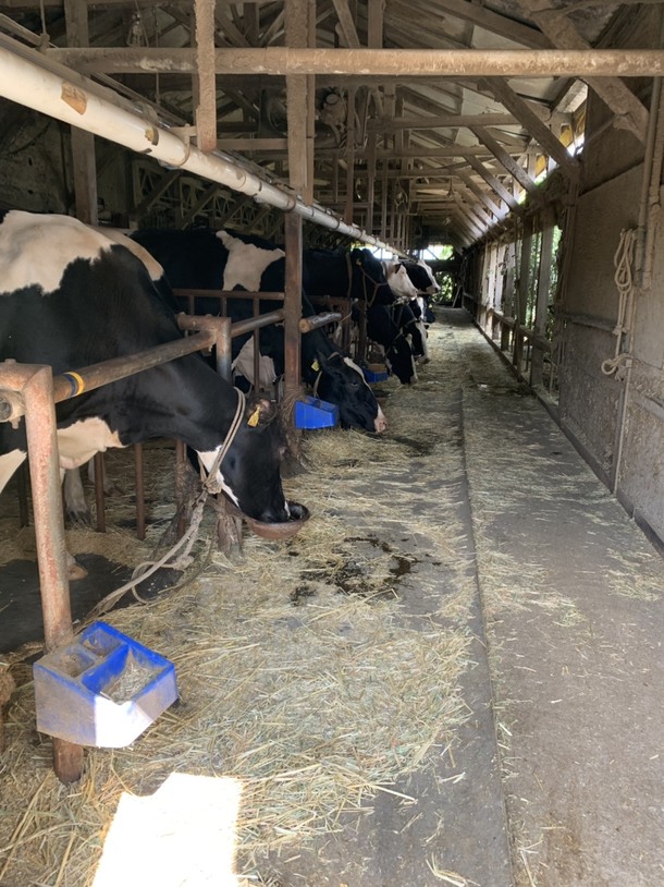 0fcfce504627fcdf2f0035abdeac5e8a082f2f67