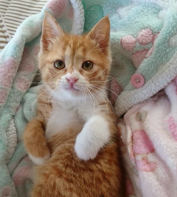 C4719c8ff8ba57c15f8aefb121707c110956d010