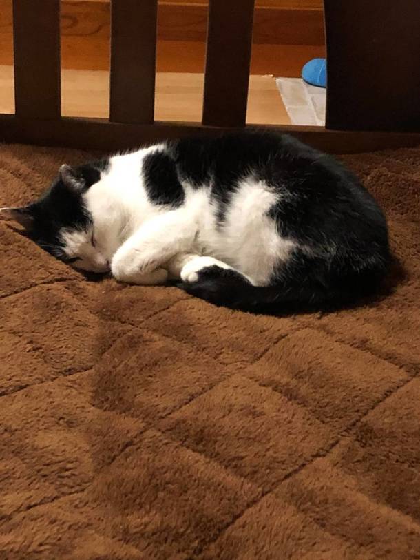 5b054b1d08e56d861f45966df9a1bee1f5b622c3