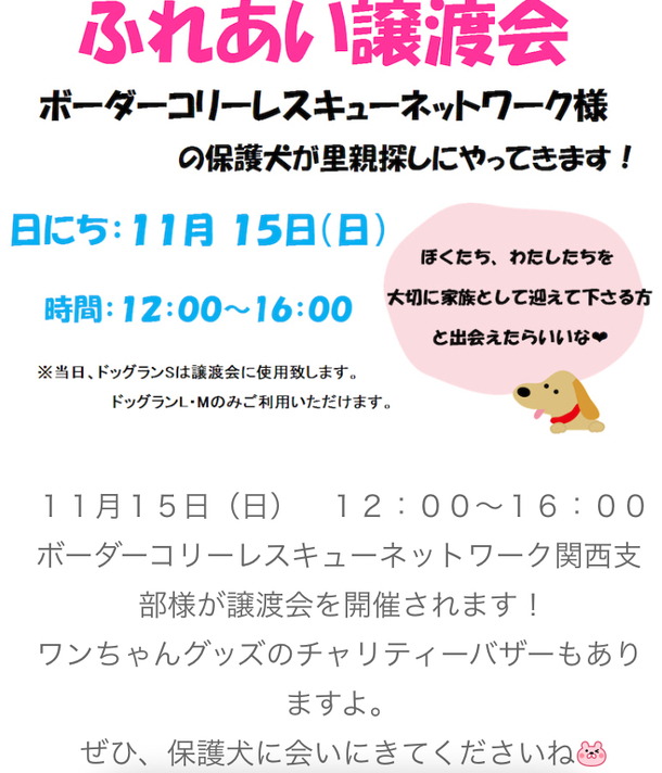 １１月１５日ふれあい譲渡会開催 閉鎖危機 保護犬を生かし幸せを掴む施設存続にご支援のお願い 柳原 英次 11 12 投稿 クラウドファンディング Readyfor レディーフォー