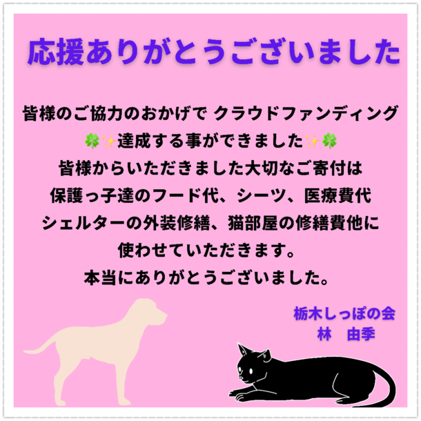 皆様のご協力 応援のおかげで目標達成できました 一頭入魂 殺処分ゼロを目標にした保護活動を継続させるために 林 由季 2021 10 01 投稿 クラウドファンディング Readyfor