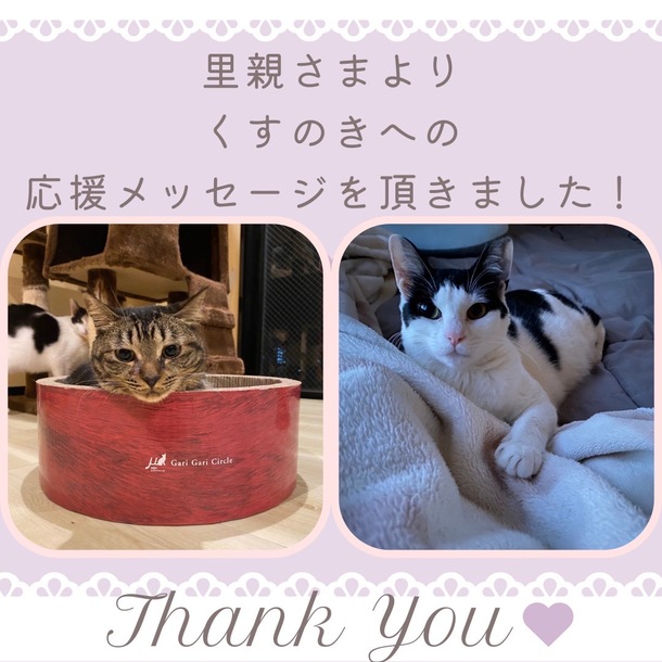 いつもありがとうthank youねこちゃん ⑧