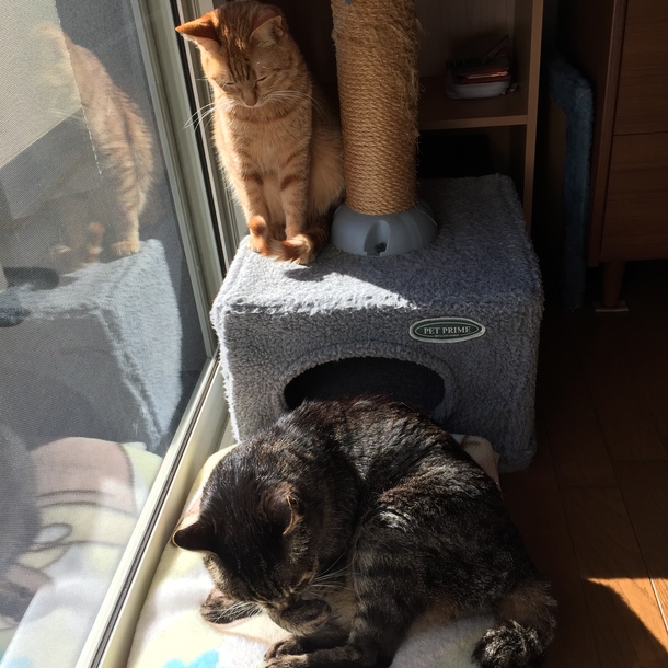 2cc2d614afe91708f561a335751a03b2dea096d7