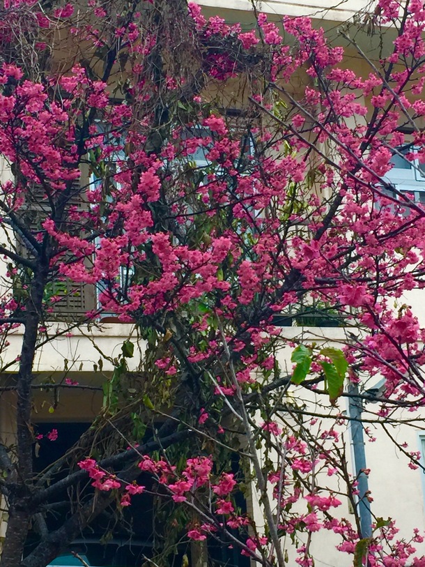 D33476fd61de9e3dedd3a4e13cbcc5c820ab54c3