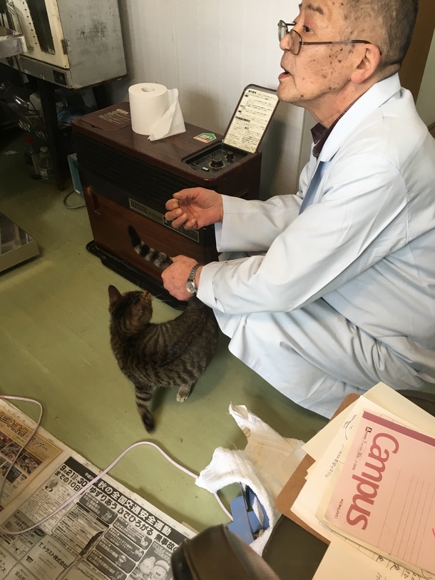 A8e565a8dbd4636a34526f8b738aa9b1336aeb01