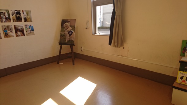 09c779d88e124bda5c343c447a880de217fc2cb8