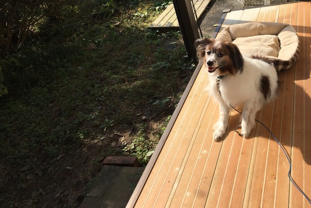 45d5c2ddb631259b8e6a08e25edad2ba2f54f424