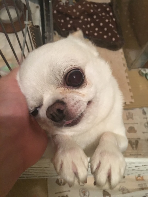 Be9a6cfbae05a2cd49a9b32ad8a09e1cc618d4bf