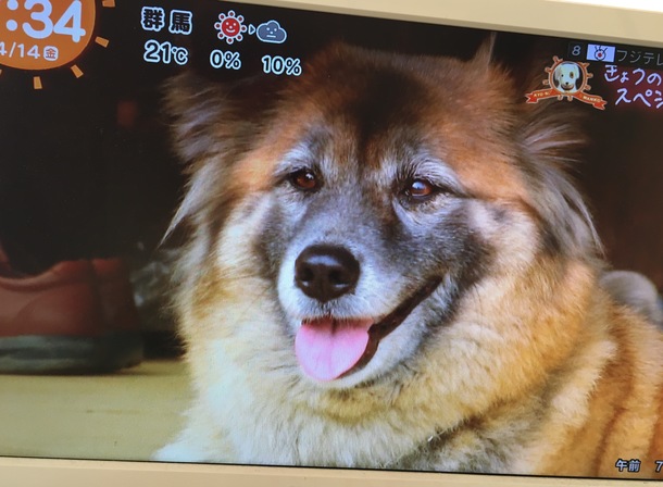 180127f12d0e97209dd2ca52ea5e3b791ec72cb5