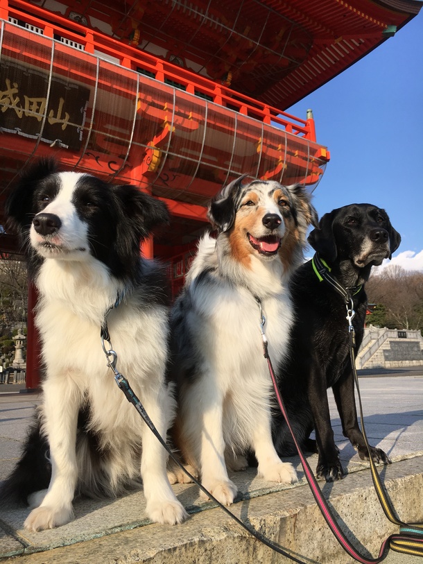 99dc6dd0c5d88357880436b68c8186e6ca286b3f