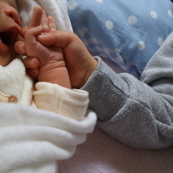 D8cd526e63f23c4eb2f1d8511e2e661e7448c851