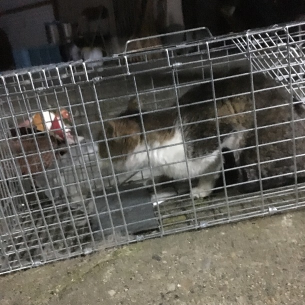 08c1badb41e8c4ec03552730d9ddea4f7e165cb5