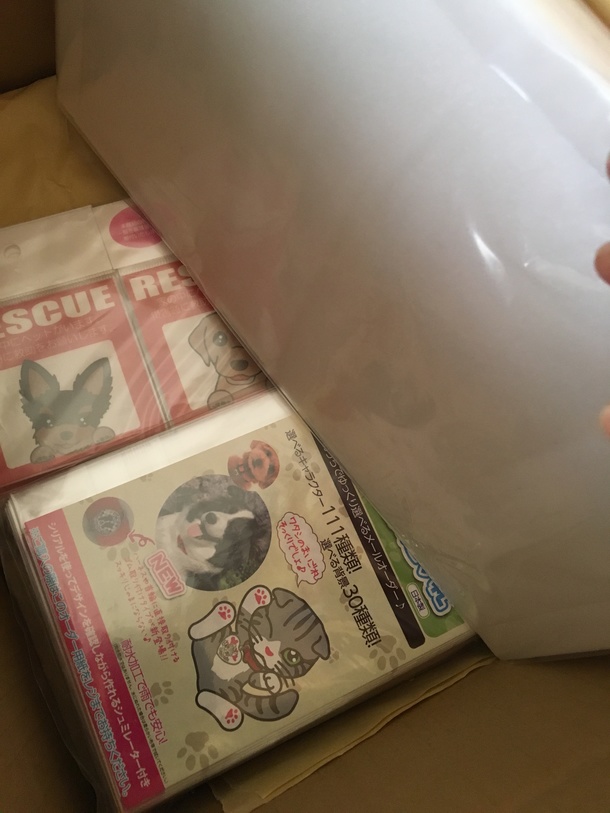 E19003e560fbaf5dd3d9001213d906ac2dbed770