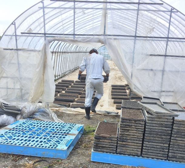 61ee81ddac67ca50104747c9ac71cd0e6827b217