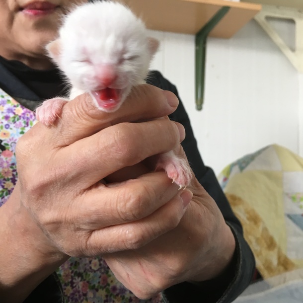 29f0eb69bd294316b65360edb34849936ba798cb