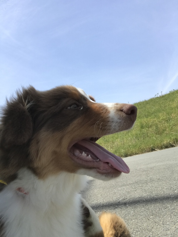 C3735d2daee3ccd9383766d28be5bfc66d70c55a