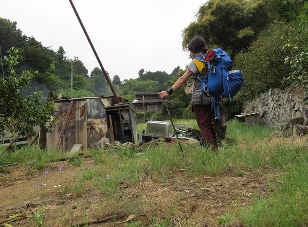 Bdd81b628de00eaf8dc2274be2f87b12e93f9354