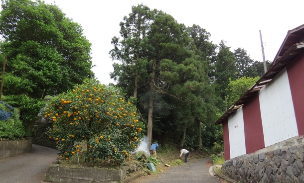 Df07e556cae3a85ef7ea97b8d6f66ec1febedc4e